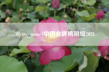 南宁中国金牌榜明细2021