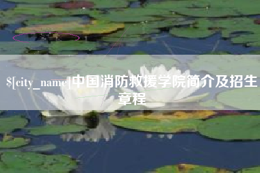 南宁中国消防救援学院简介及招生章程