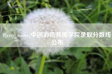 南宁中国消防救援学院录取分数线公布