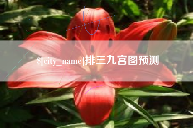 南宁排三九宫图预测