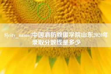 南宁中国消防救援学院山东2020年录取分数线是多少