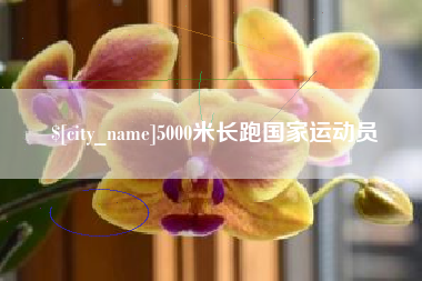 南宁5000米长跑国家运动员
