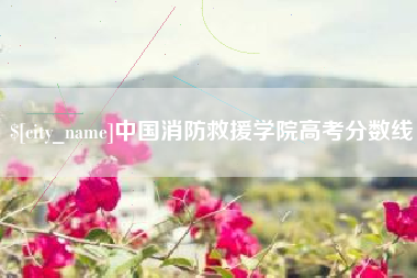 南宁中国消防救援学院高考分数线