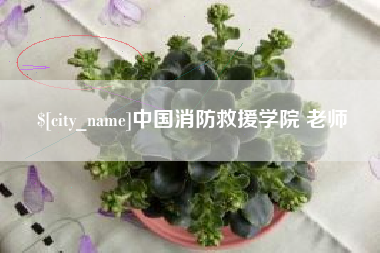 南宁中国消防救援学院 老师