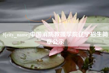南宁中国消防救援学院辽宁招生简章公示