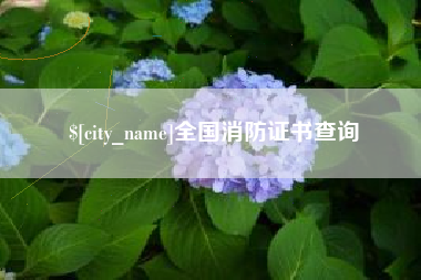 南宁全国消防证书查询