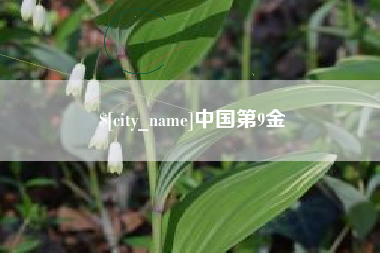 南宁中国第9金