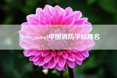 南宁中国消防学校排名