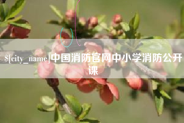 南宁中国消防官网中小学消防公开课