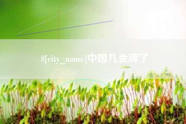 南宁中国几金牌了