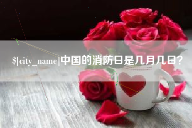 南宁中国的消防日是几月几日？