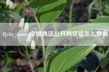 南宁中国执法公开网征信怎么查询