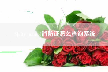 南宁消防证怎么查询系统