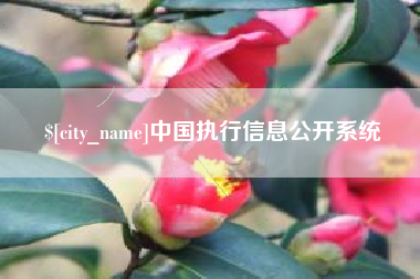 南宁中国执行信息公开系统
