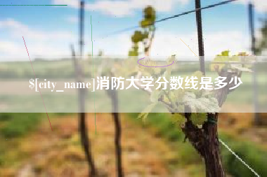 南宁消防大学分数线是多少