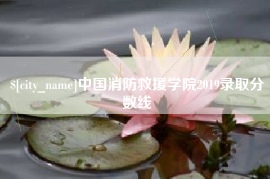南宁中国消防救援学院2019录取分数线