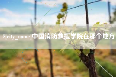 南宁中国消防救援学院在那个地方