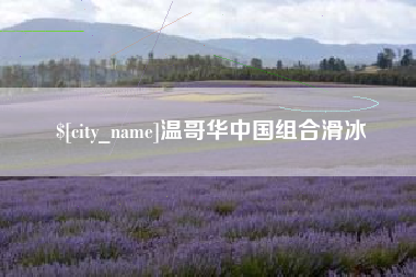南宁温哥华中国组合滑冰