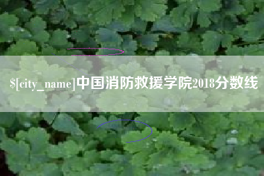 南宁中国消防救援学院2018分数线