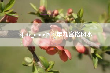 南宁2021年九宫格风水