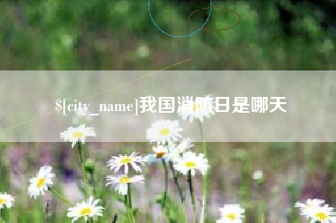 南宁我国消防日是哪天