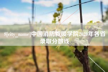 南宁中国消防救援学院2020年各省录取分数线