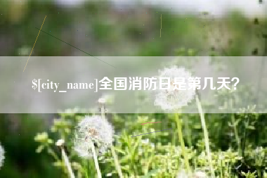 南宁全国消防日是第几天？