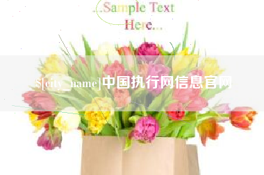 南宁中国执行网信息官网
