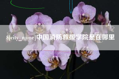 南宁中国消防救援学院是在哪里