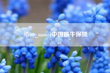 南宁中国最牛保镖