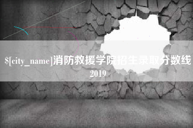 南宁消防救援学院招生录取分数线2019