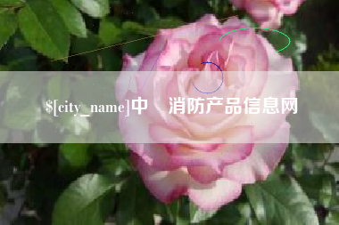 南宁中囯消防产品信息网