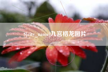 南宁九宫格龙图片