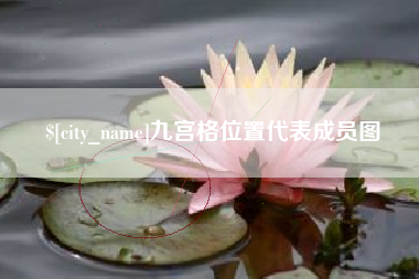 南宁九宫格位置代表成员图