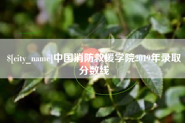 南宁中国消防救援学院2019年录取分数线