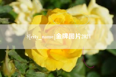 南宁金牌图片2021