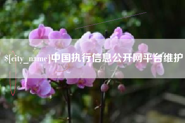 南宁中国执行信息公开网平台维护