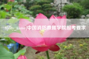 南宁中国消防救援学院报考要求