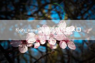 南宁国家消防报名入口