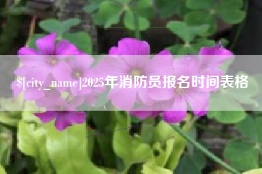 南宁2025年消防员报名时间表格