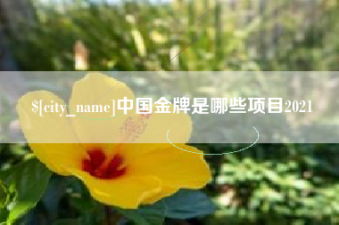 南宁中国金牌是哪些项目2021