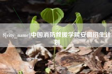 南宁中国消防救援学院安徽招生计划