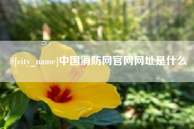 南宁中国消防网官网网址是什么