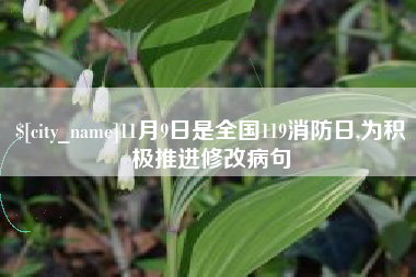 南宁11月9日是全国119消防日,为积极推进修改病句