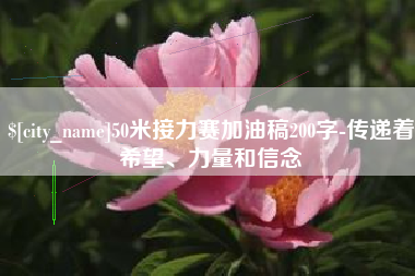 南宁50米接力赛加油稿200字-传递着希望、力量和信念