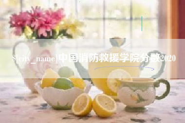 南宁中国消防救援学院分数2020