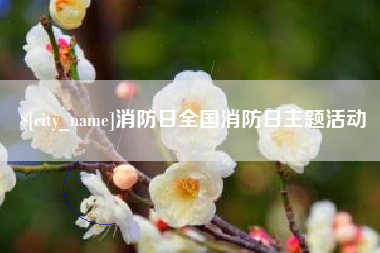 南宁消防日全国消防日主题活动