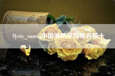 南宁中国消防学院排名前十