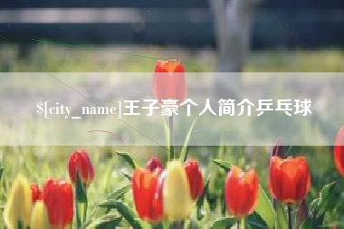 南宁王子豪个人简介乒乓球