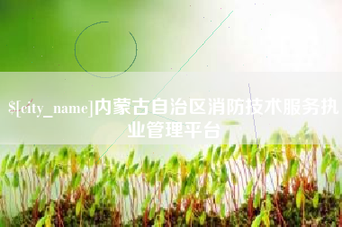 南宁内蒙古自治区消防技术服务执业管理平台